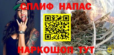 ГАЛЛЮЦИНОГЕННЫЕ ГРИБЫ Кингисепп