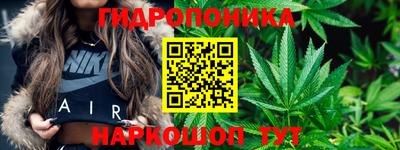 скорость Кандалакша