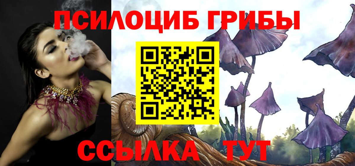 Галлюциногенные грибы прущие грибы Ртищево