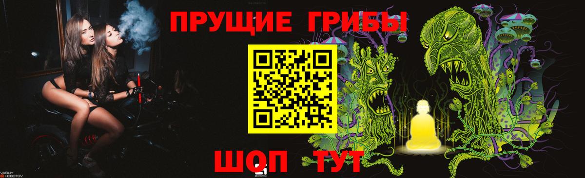 Галлюциногенные грибы GOLDEN TEACHER  Вход с VPN  Ртищево 