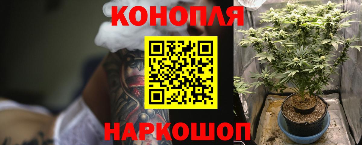 Бошки марихуана планчик Ртищево